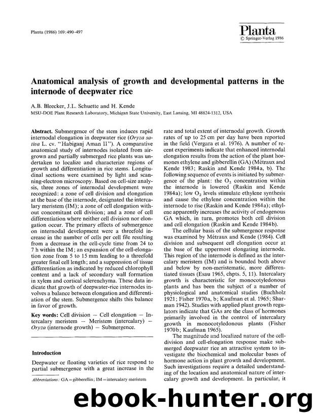 Anatomical analysis of growth and developmental patterns in the internode of deepwater rice by Unknown