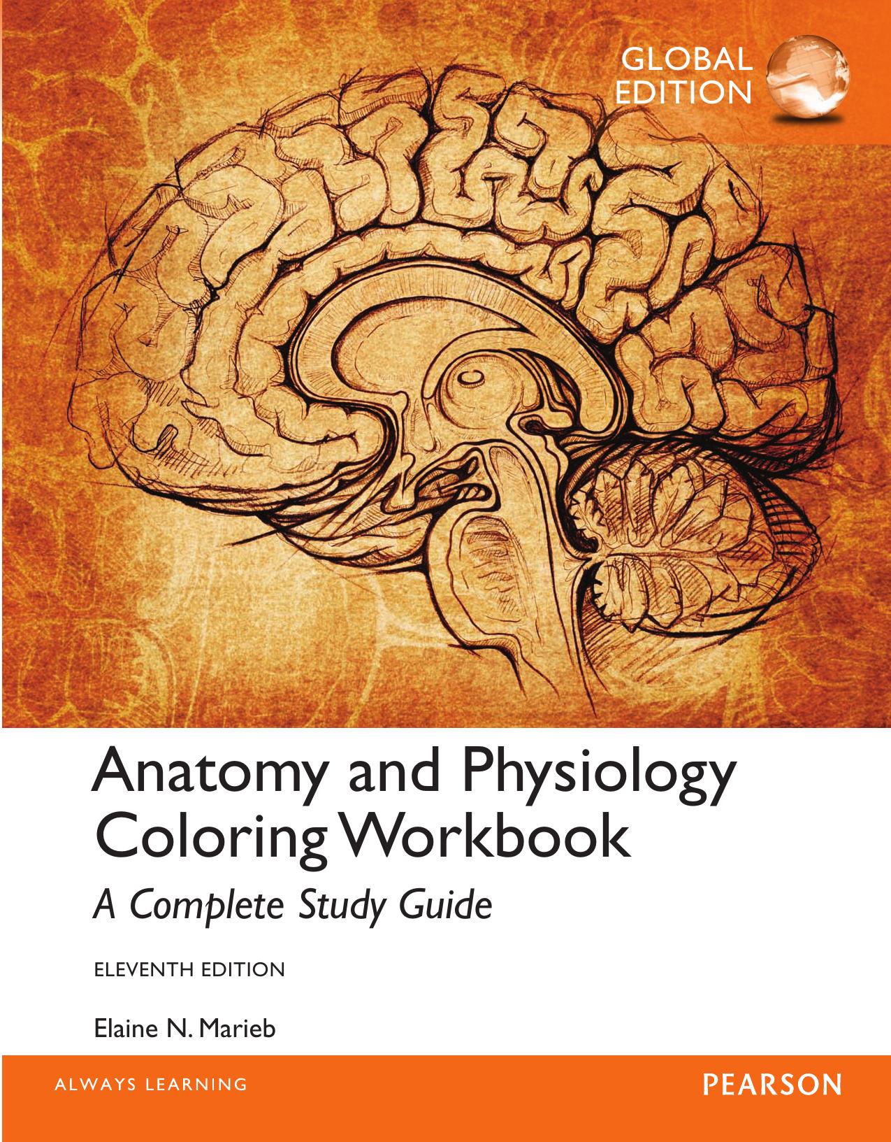Anatomy & Physiology Coloring Workbook : a complete study guide by Marieb Elaine Nicpon