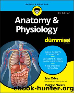 Anatomy & Physiology For Dummies by Erin Odya & Maggie Norris