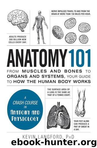 Anatomy 101: From Muscles and Bones to Organs and Systems, Your Guide to How the Human Body Works by Langford Kevin