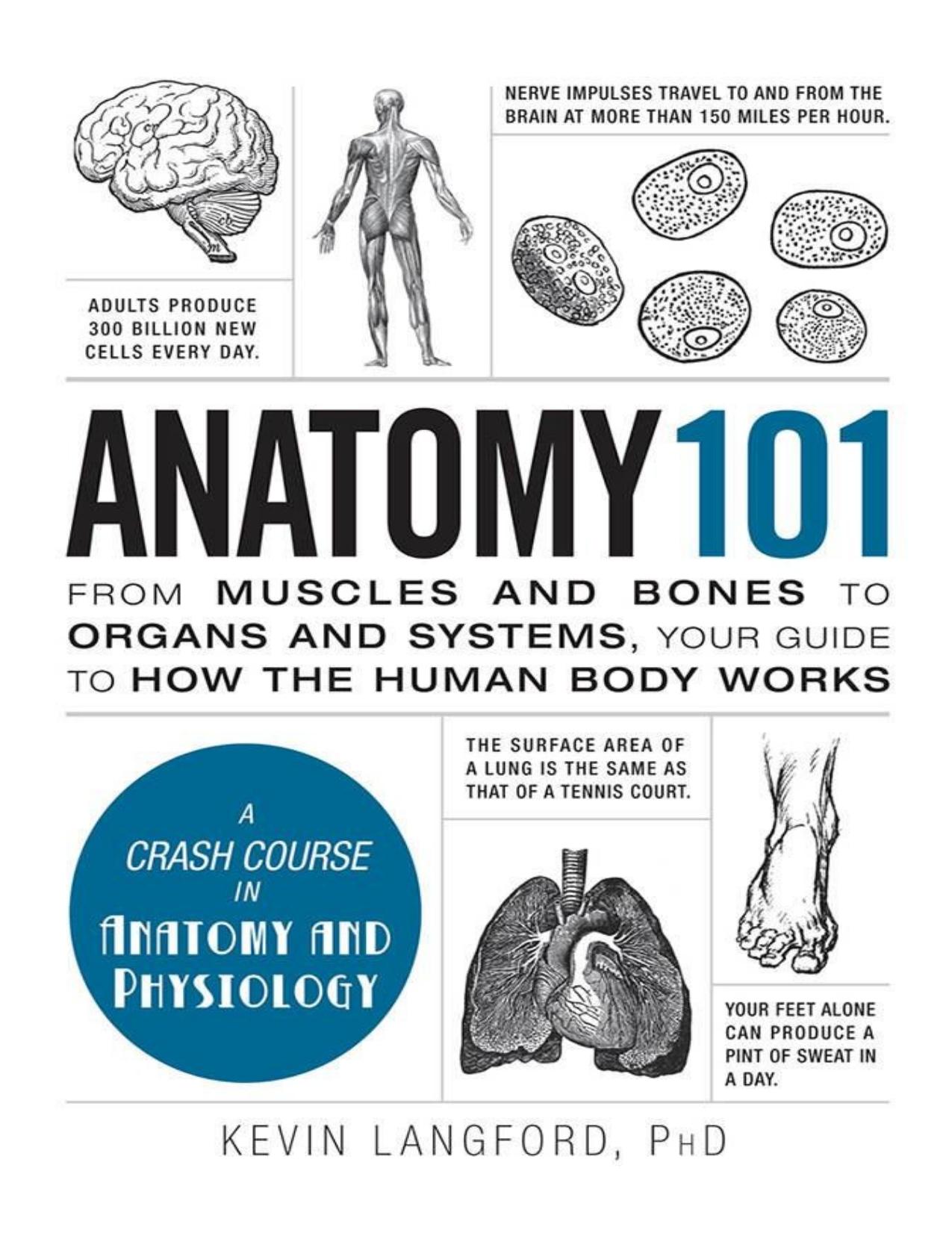 Anatomy 101_ From Muscles and Bones to Organs and Systems, Your Guide to How the Human Body Works by Kevin Langford