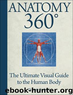 Anatomy 360 by Jamie Roebuck