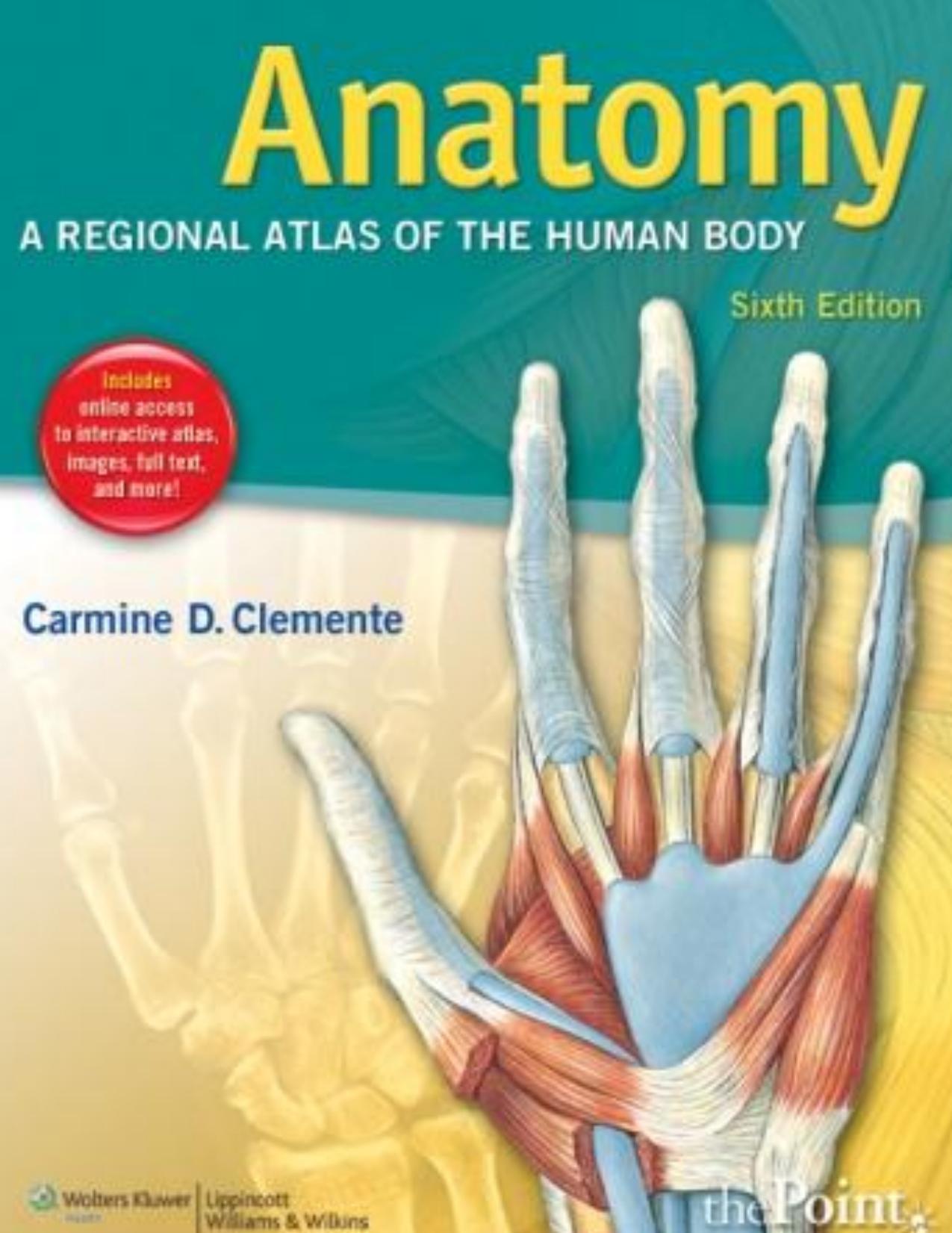 Anatomy A Regional Atlas of the Human Body, Sixth Edition by Carmine D. Clemente & A.B. & M.S. & Ph.D. & Dr.H.L