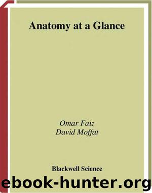 Anatomy At a Glance by unknow