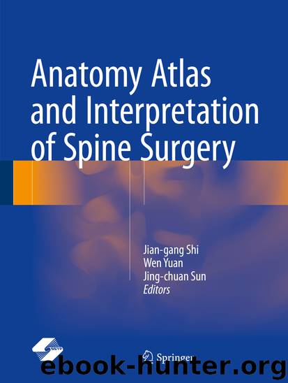 Anatomy Atlas and Interpretation of Spine Surgery by Jian-gang Shi Wen Yuan & Jing-chuan Sun