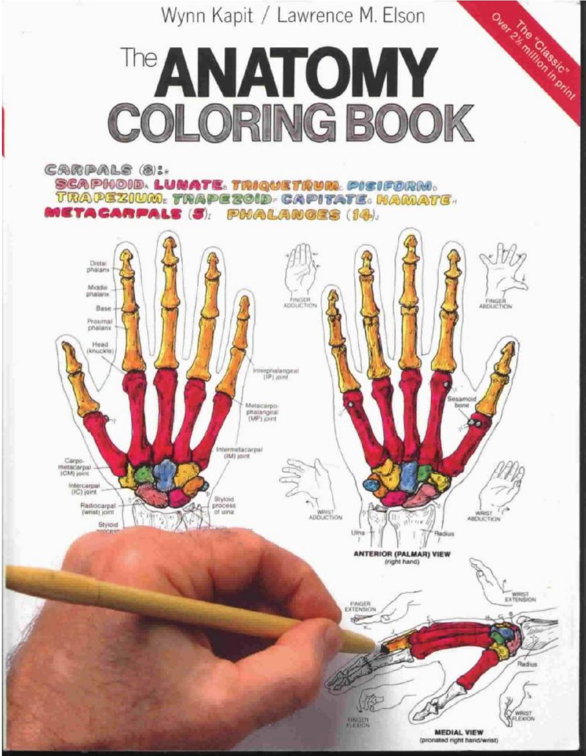 Anatomy Coloring Book by Kapit W. Elson M