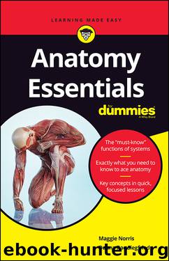 Anatomy Essentials For Dummies by Maggie Norris & Donna Rae Siegfried & Medhane Cumbay