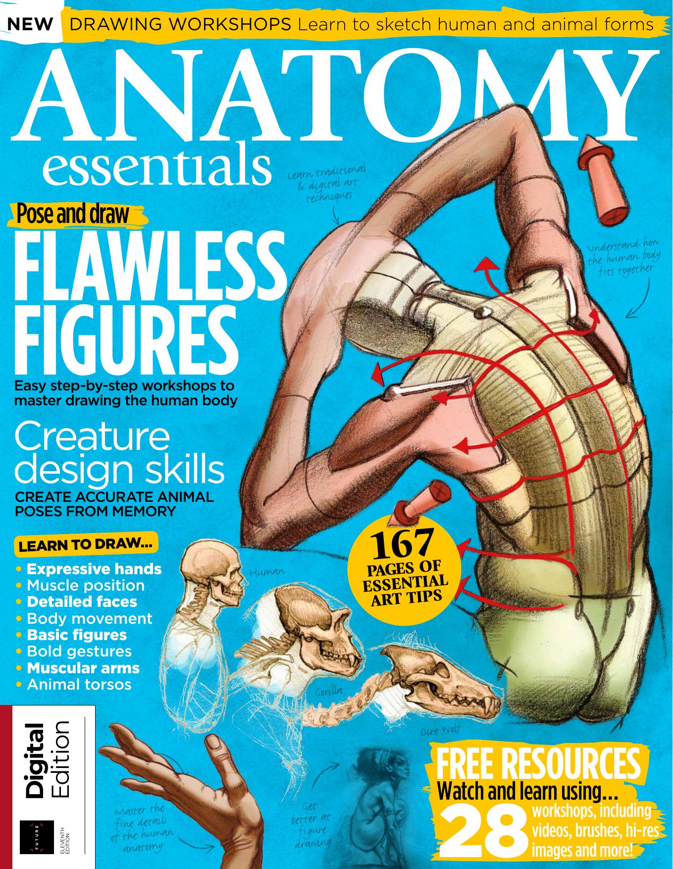 Anatomy Essentials, 11th Edition by ImagineFX