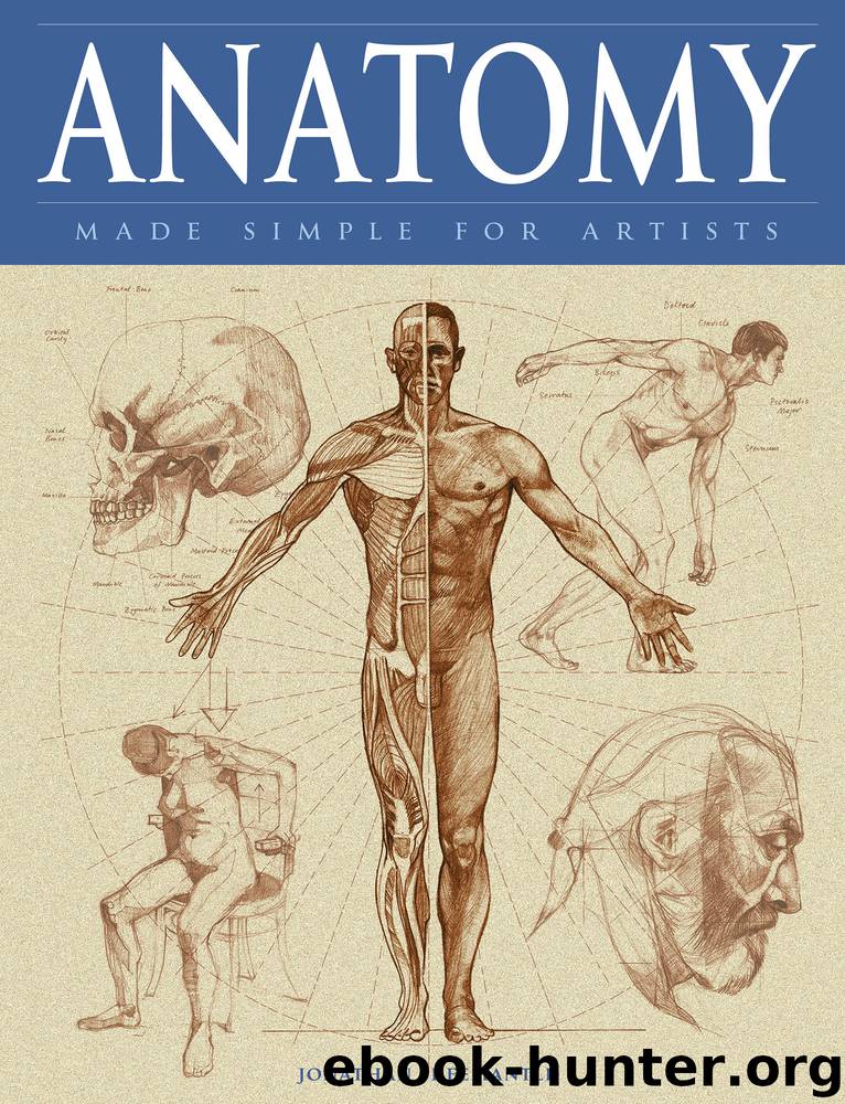 Anatomy Made Simple for Artists by Jonathan Freemantle