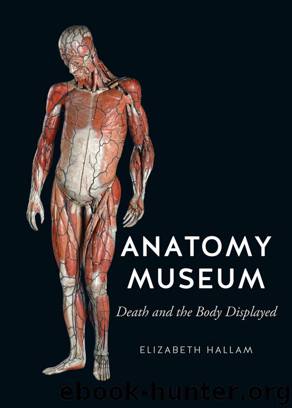 Anatomy Museum by Elizabeth Hallam