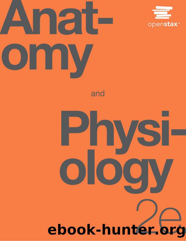 Anatomy Physiology 2e by Kelly a Young Peter Desaix openstax