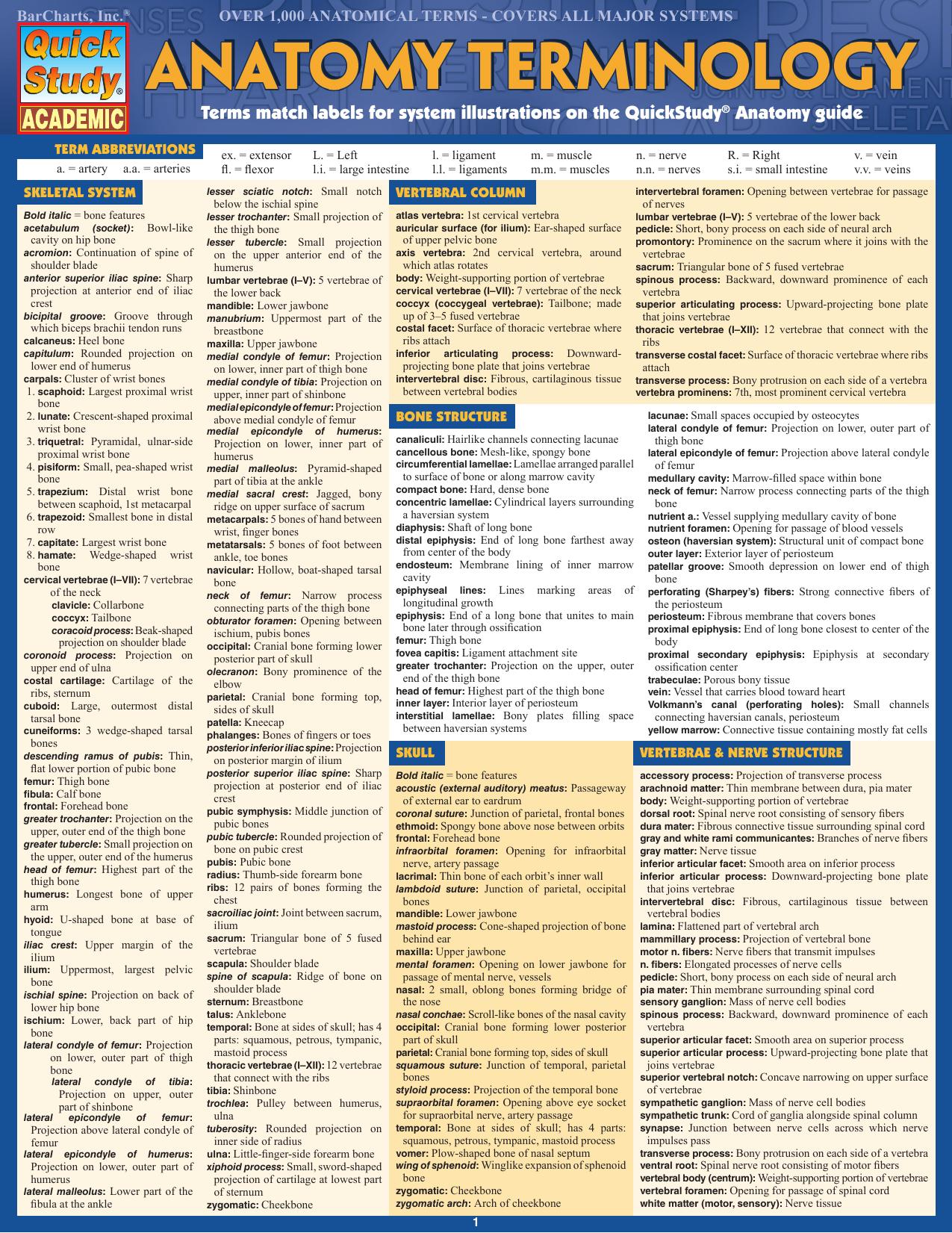 Anatomy Terminology by BarCharts Inc