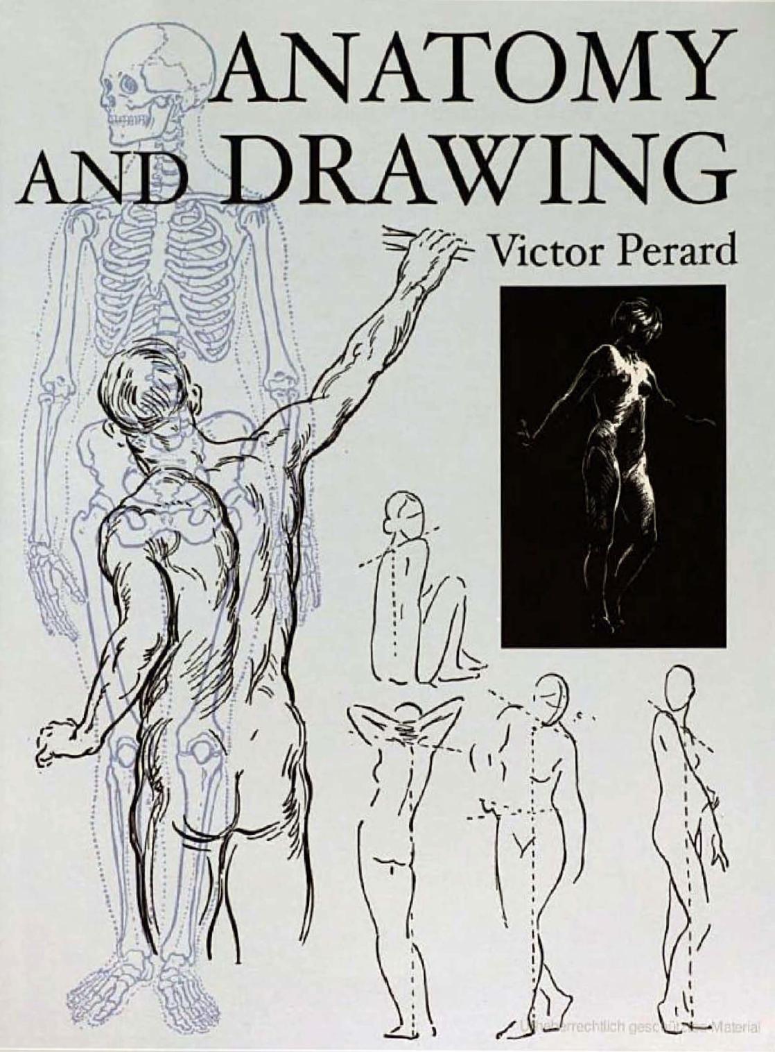 Anatomy and Drawing by Victor Perard
