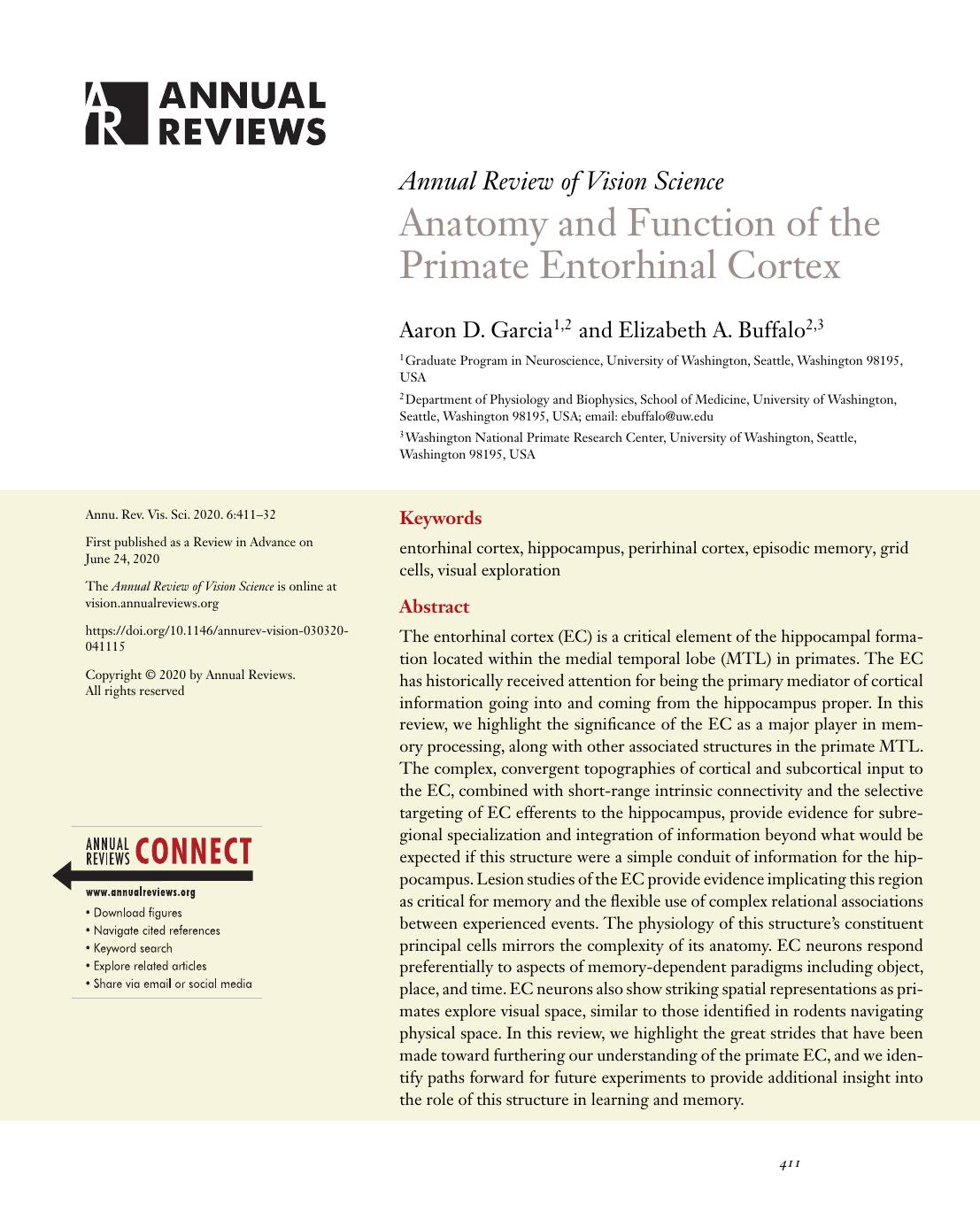 Anatomy and Function of the Primate Entorhinal Cortex by Aaron D. Garcia and Elizabeth A. Buffalo