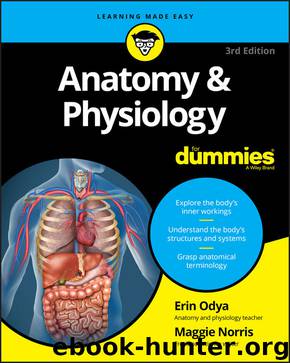 Anatomy and Physiology For Dummies by Erin Odya & Maggie A. Norris