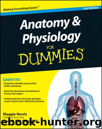 Anatomy and Physiology For Dummies by Maggie Norris