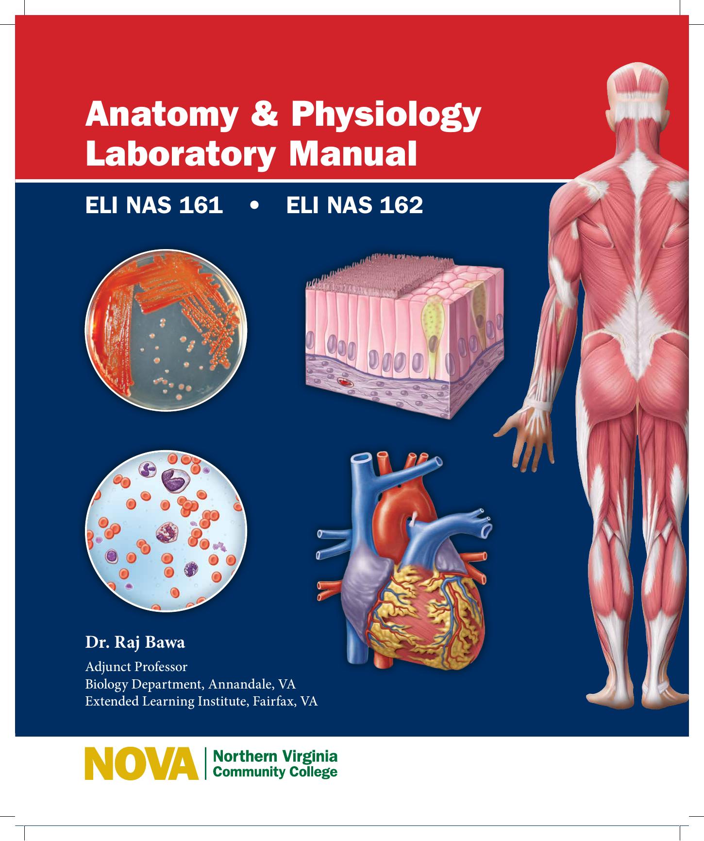 Anatomy and Physiology Laboratory Manual - ELI NAS 161 - ELI NAS 162 by Raj Bawa