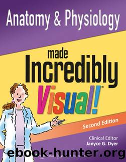 Anatomy and Physiology Made Incredibly Visual! by Janyce G. Dyer