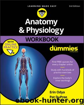 Anatomy and Physiology Workbook For Dummies by Erin Odya