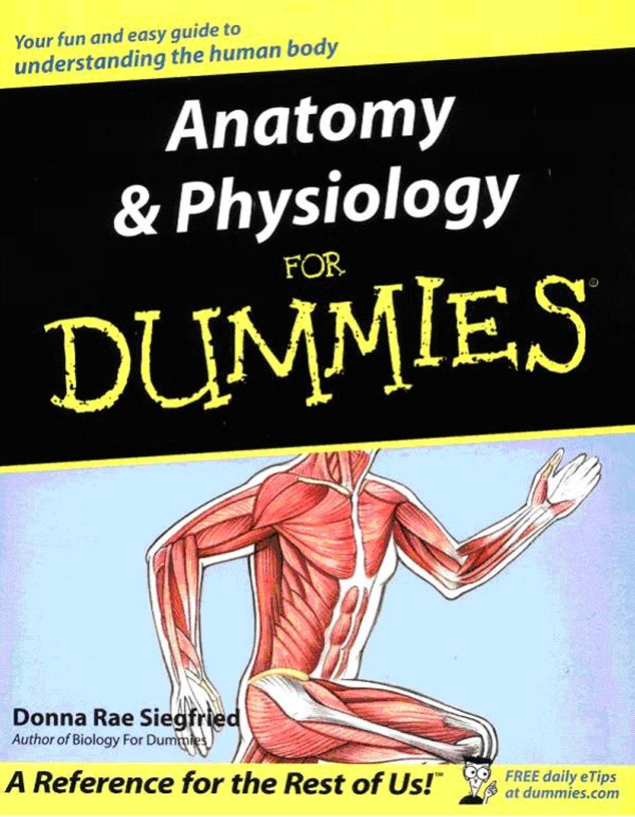 Anatomy and Physiology Workbook For Dummies by Unknow