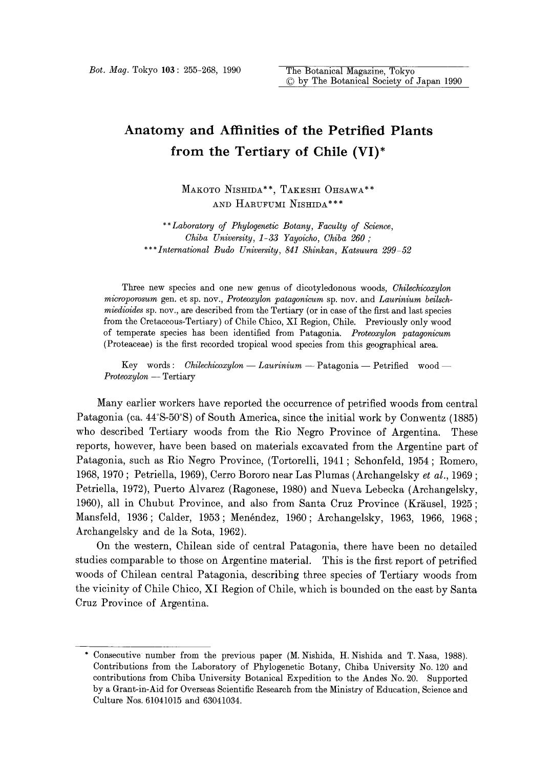 Anatomy and affinities of the petrified plants from the teriary of Chile (VI) by Unknown