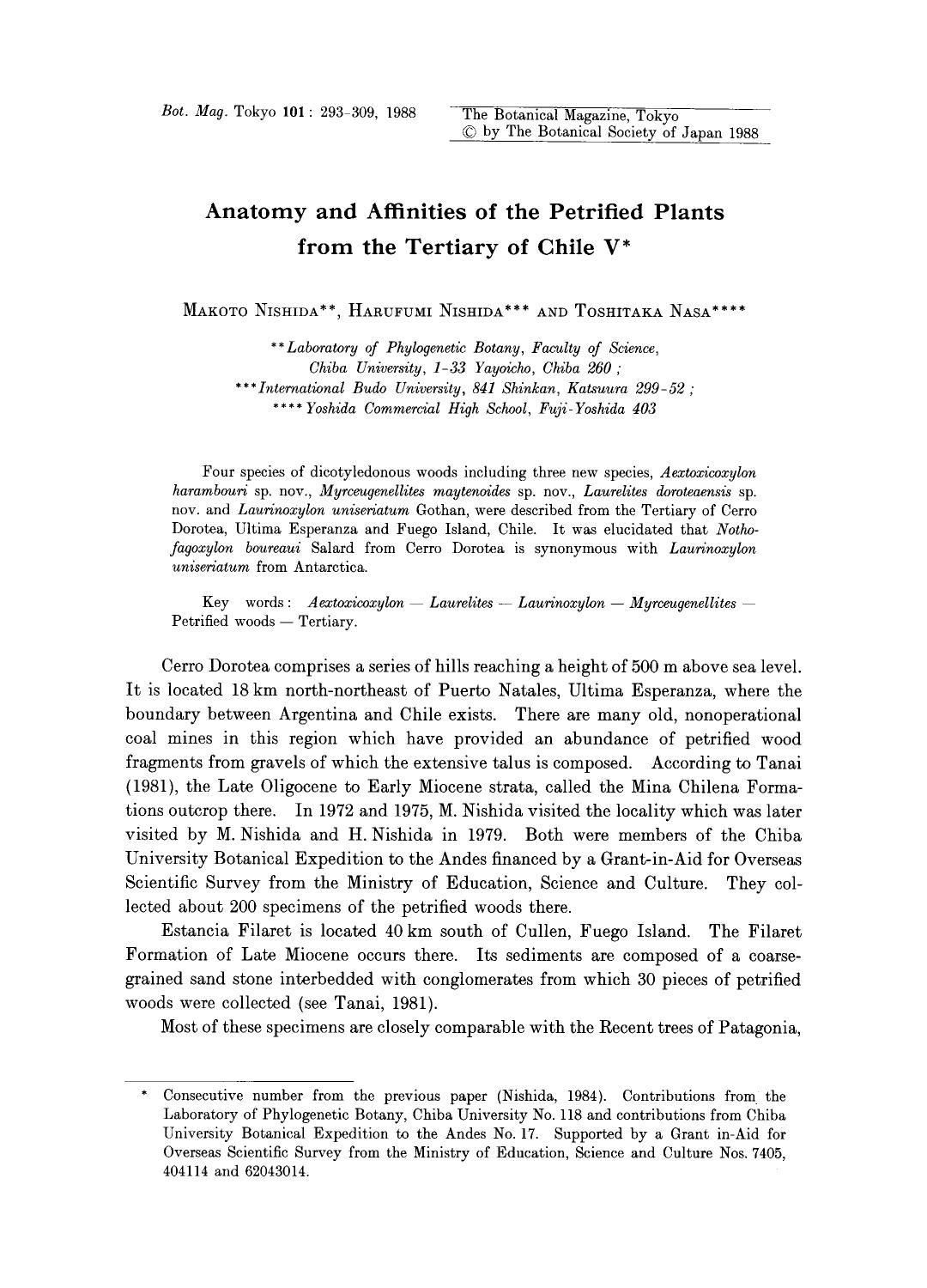 Anatomy and affinities of the petrified plants from the tertiary of chile V by Unknown
