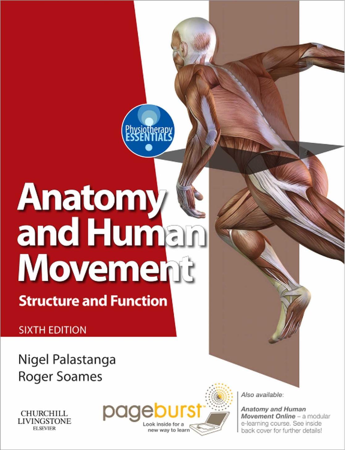 Anatomy and human movement : structure and function by Nigel Palastanga; Roger Soames