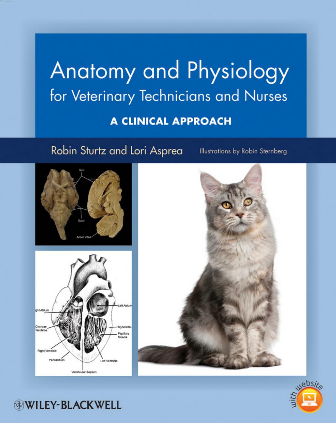 Anatomy and physiology for veterinary technicians and nurses : a clinical approach by Robin Sturtz; Lori Asprea