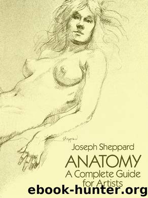 Anatomy by Joseph Sheppard