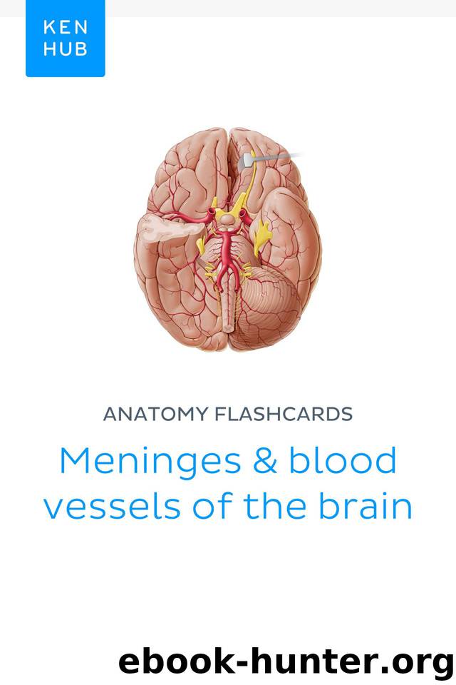 Anatomy flashcards: Meninges & blood vessels of the brain: Learn all arteries, veins, organs, tissues, bones and nerves on the go (Kenhub Flashcards Book 1) by Kenhub