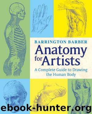 Anatomy for Artists by Barrington Barber