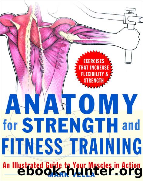 Anatomy for Strength and Fitness Training by Mark Vella