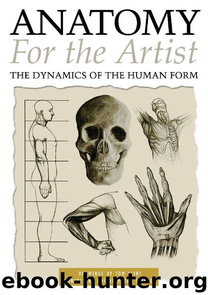 Anatomy for the Artist by Tom Flint