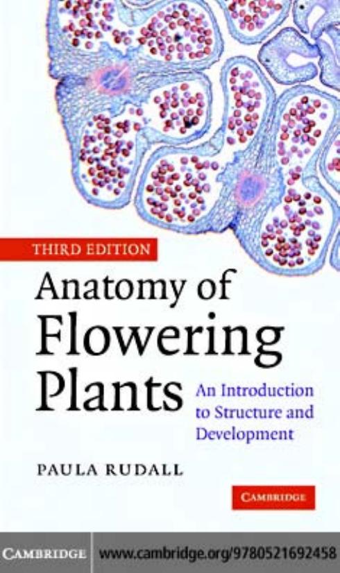 Anatomy of Flowering Plants: An Introduction to Structure and Development by Paula J. Rudall