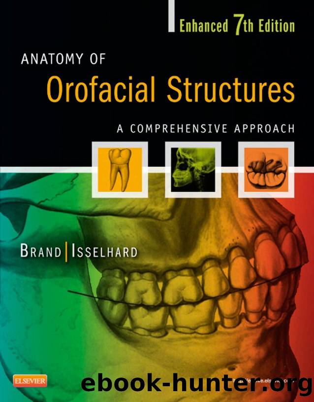 Anatomy of Orofacial Structures by A Comprehensive Approach
