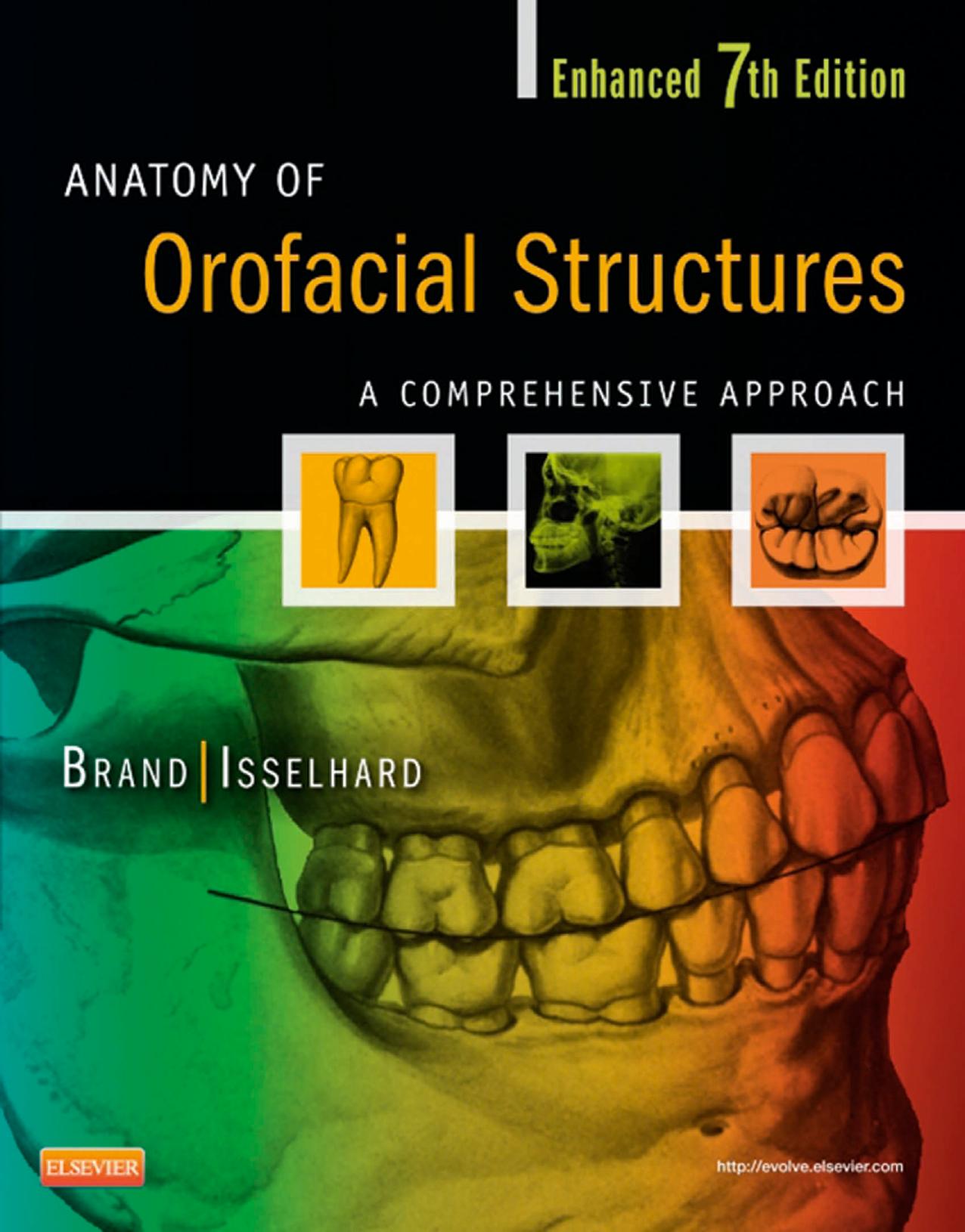 Anatomy of Orofacial Structures: A Comprehensive Approach by Richard W. Brand; Donald E. Isselhard