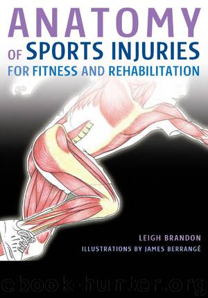 Anatomy of Sports Injuries by Leigh Brandon