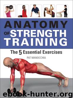 Anatomy of Strength Training by Pat Manocchia