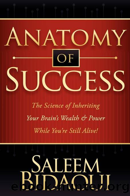 Anatomy of Success by Saleem Bidaoui