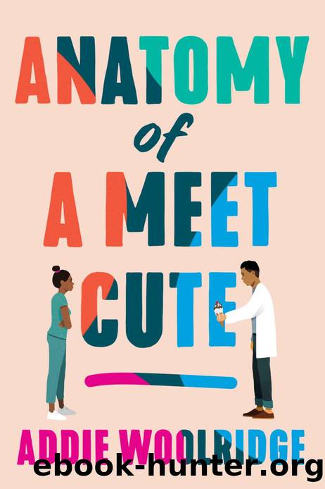 Anatomy of a Meet Cute by Addie Woolridge