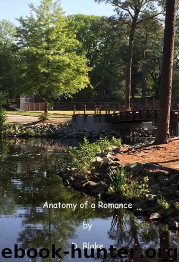 Anatomy of a Romance by Blake D