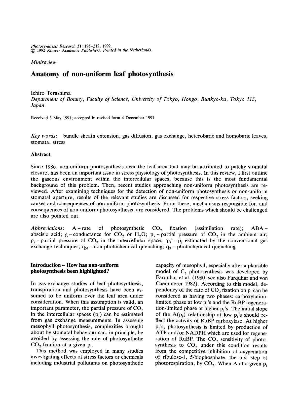 Anatomy of non-uniform leaf photosynthesis by Unknown