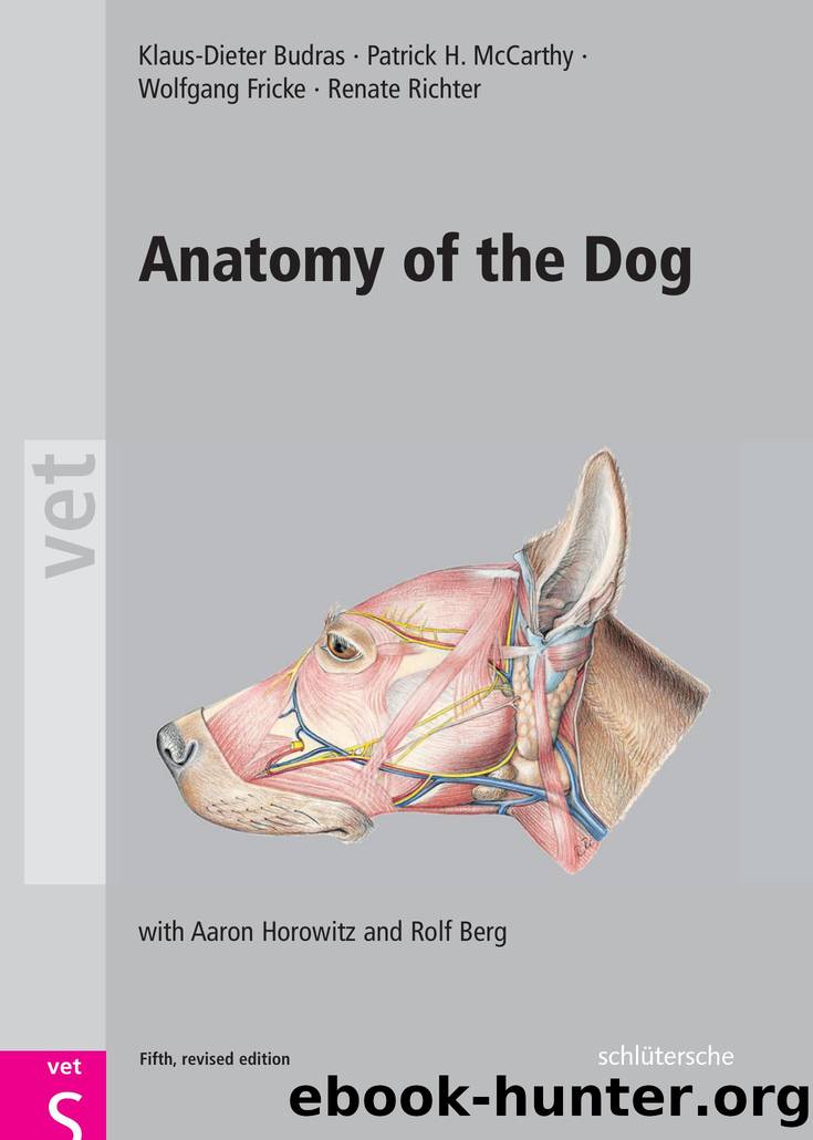 Anatomy of the Dog by Budras Klaus-Dieter and McCarthy Patrick and Fricke Wolfgang and Richter Renate