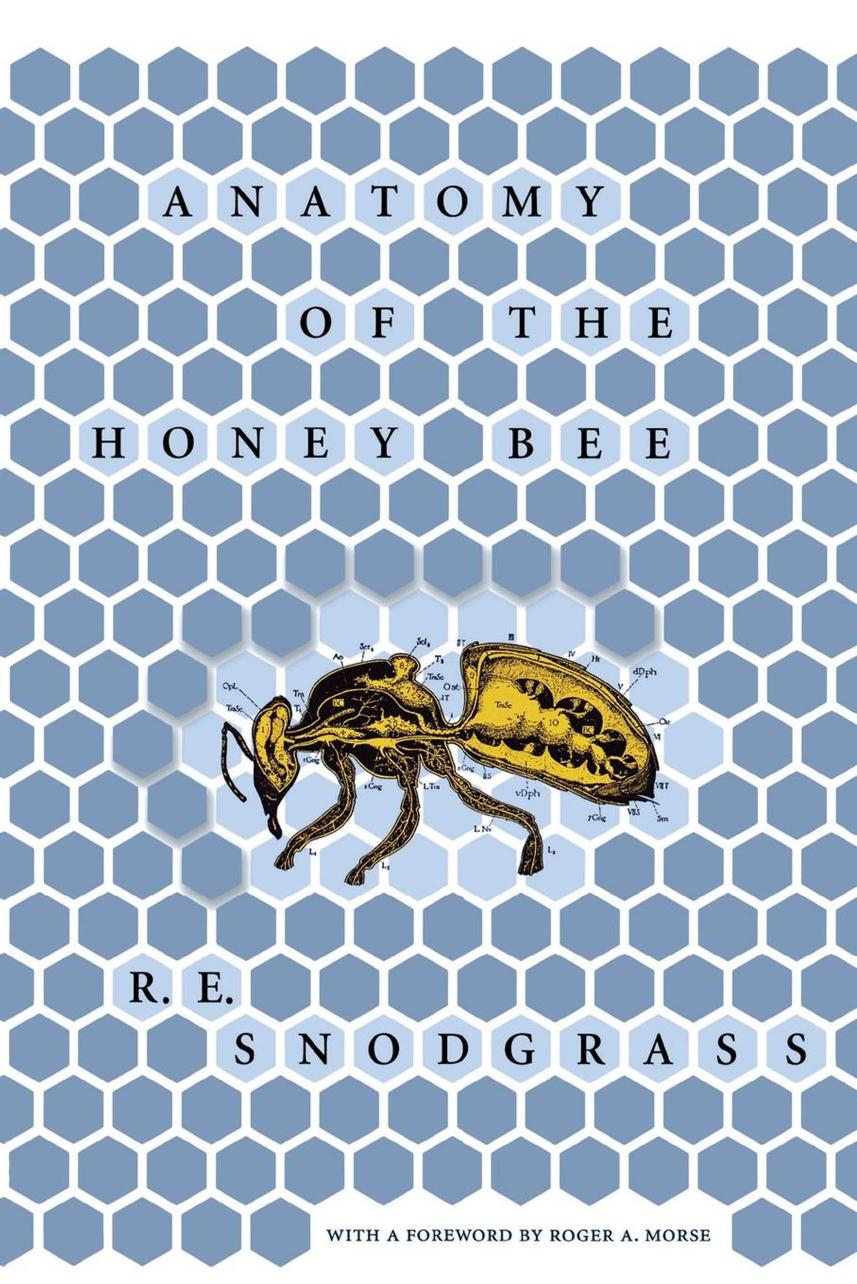 Anatomy of the Honey Bee by R. E. Snodgrass foreword by Roger A. Morse