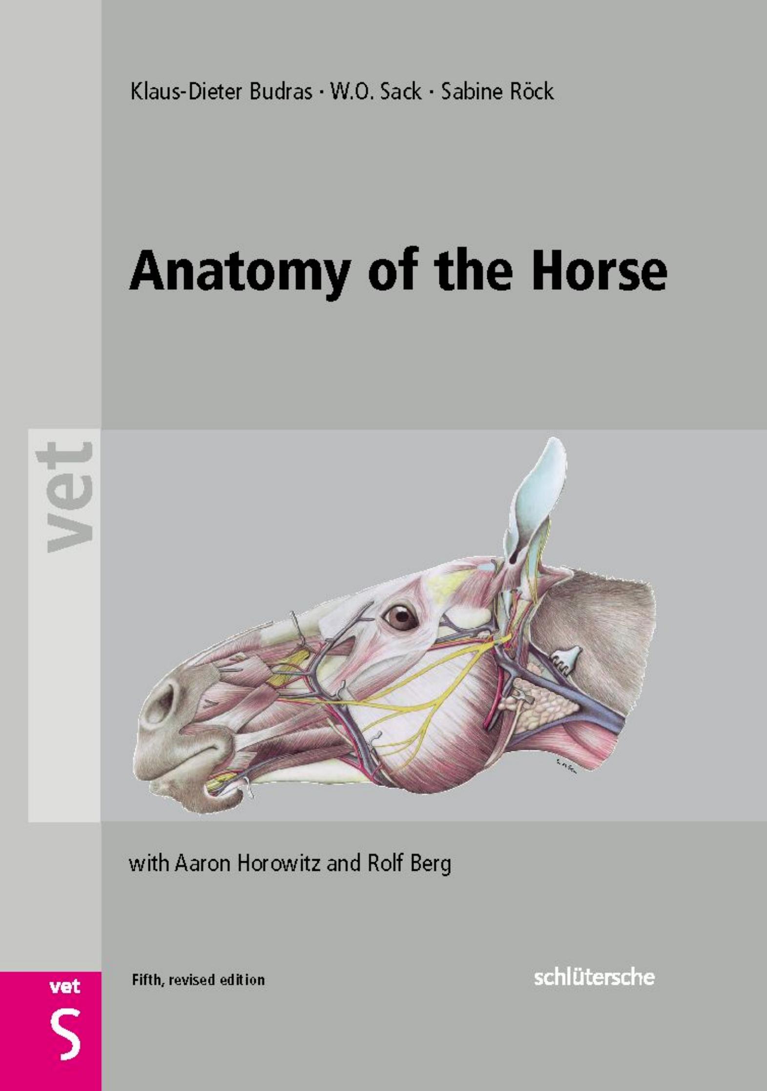 Anatomy of the Horse: An Illustrated Text (Vet (Schlutersche) by Klaus Dieter Budras W. O. Sack