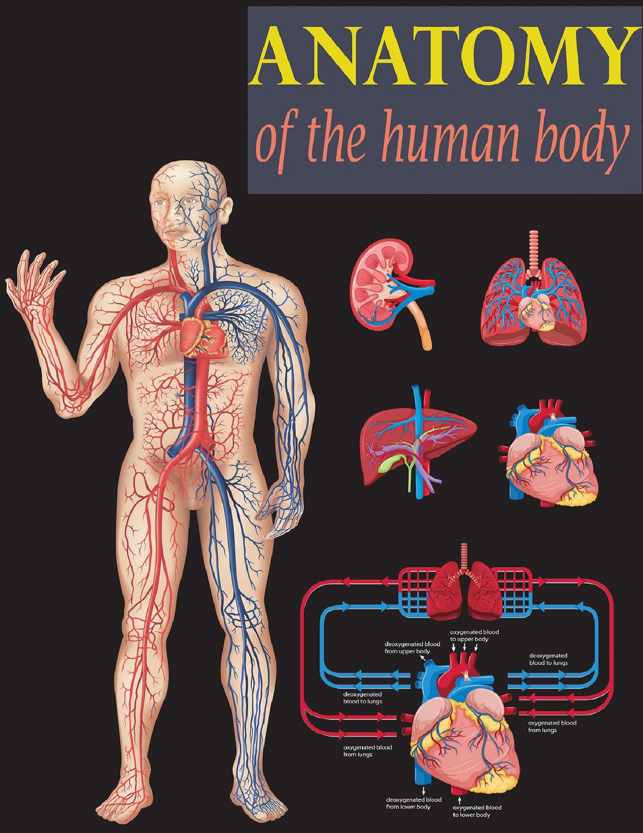 Anatomy of the human body: Anatomy body part by Anik Ahmed
