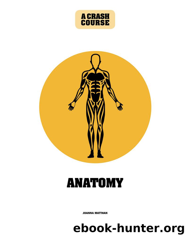 Anatomy: A Crash Course by Joanna Matthan