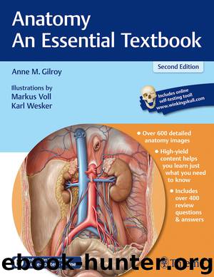 Anatomy: An Essential Textbook by Anne M. Gilroy