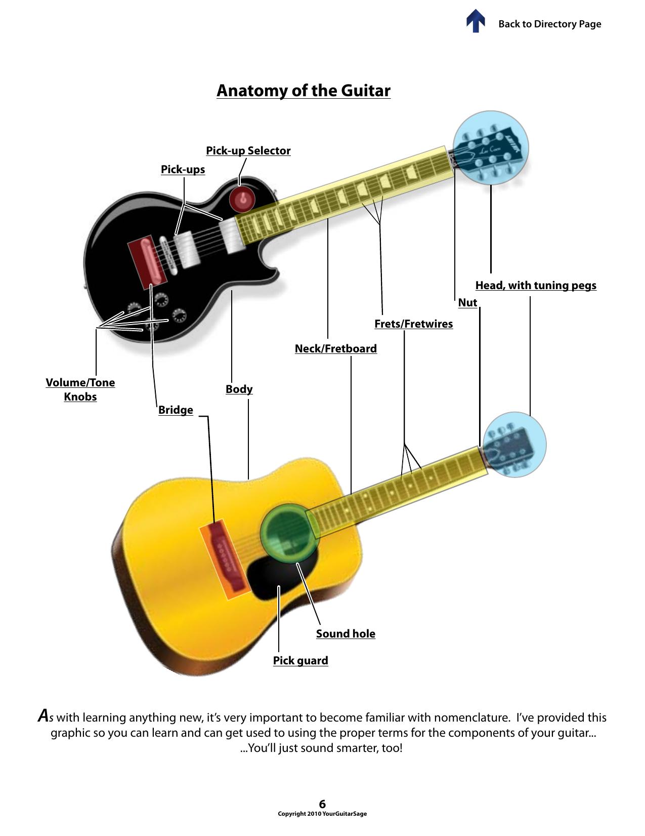 Anatomy-Of-The-Guitar by Unknown