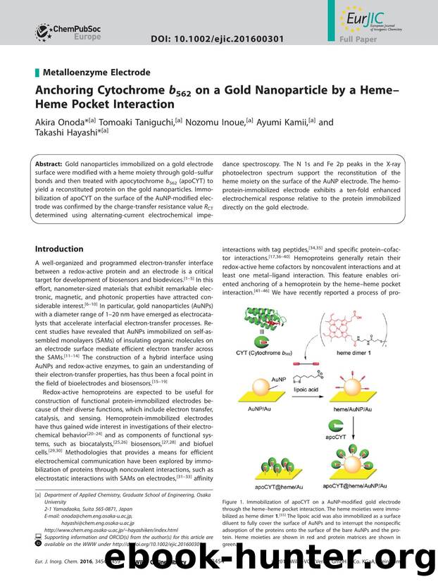Anchoring Cytochrome <i>b<i><sub>562<sub> on a Gold Nanoparticle by a Heme&#x02013;Heme Pocket Interaction by Unknown